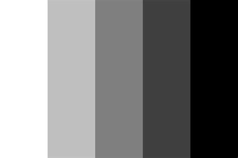 black white and in color black white and in color PDF